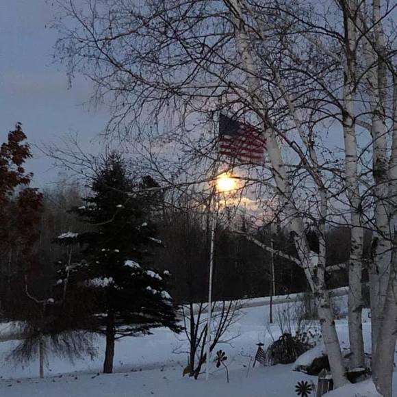 Meet your Posher, Dottie - Picture 1 of 1